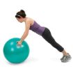 Picture of NORCO EXERCISE BALL