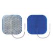 Picture of PALS BLUE ELECTRODES